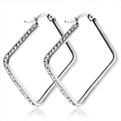 Silver diamond stainless steel earrings safe